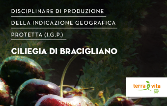 Pubblicato in Gazzetta ufficiale il disciplinare di produzione della I.G.P. "Ciliegia di Bracigliano”