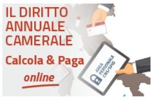 Diritto annuale 2022