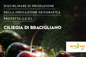 Pubblicato in Gazzetta ufficiale il disciplinare di produzione della I.G.P. "Ciliegia di Bracigliano”