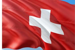 svizzera, webinar, elettromeccanica