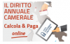 Diritto annuale 2022