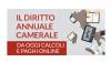 incremento diritto annuale
