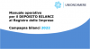 Deposito dei bilanci al Registro imprese: online il Manuale operativo 2022
