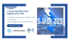 zes sud webinar