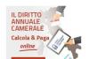 diritto annuale